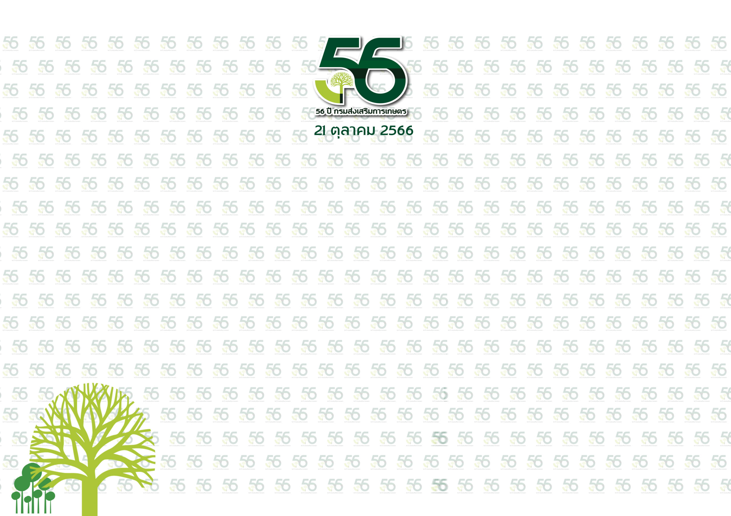 B38-66