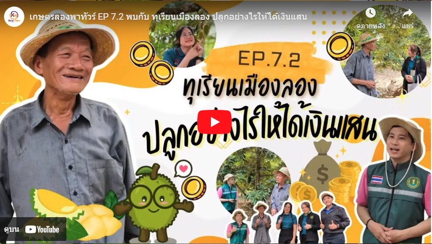 เกษตรลองพาทัวร์ EP 7.2 พบกับ ทุเรียนเมืองลอง ปลูกอย่างไรให้ได้เงินแสน