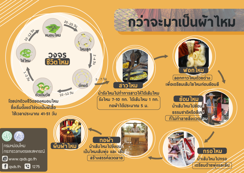 กว่าจะมาเป็นผ้าไหม