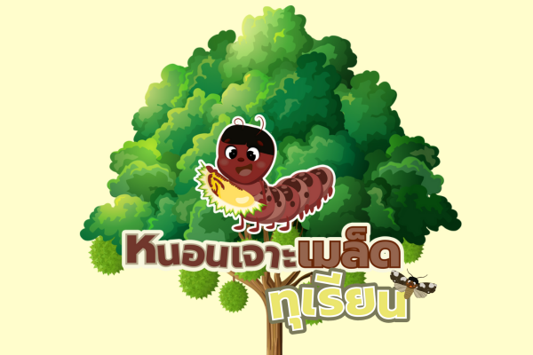 แผ่นพับ : หนอนเจาะเมล็ดทุเรียน