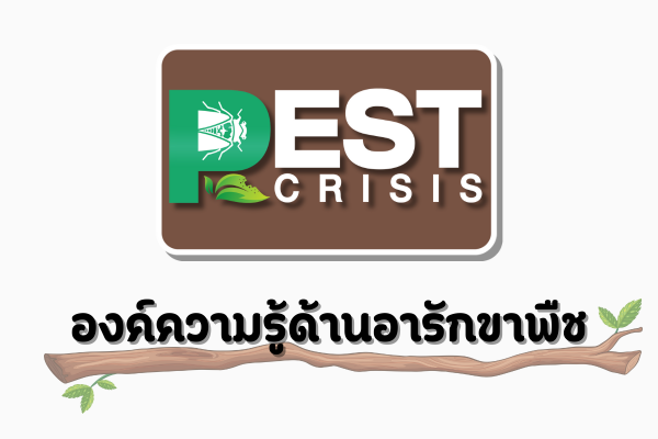 องค์ความรู้ด้านอารักขาพืช Pests Crisis