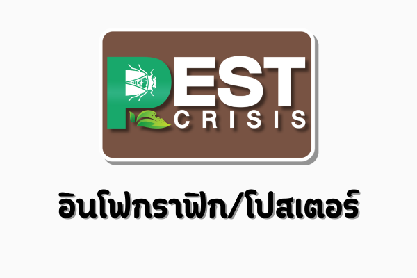 อินโฟกราฟิก/โปสเตอร์
