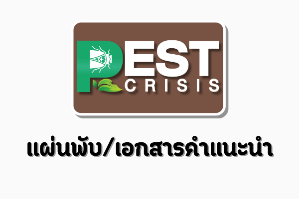 แผ่นพับ/คำแนะนำ