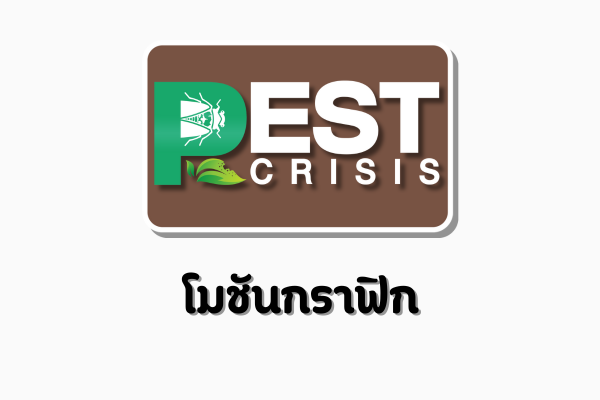 โมชันกราฟิก